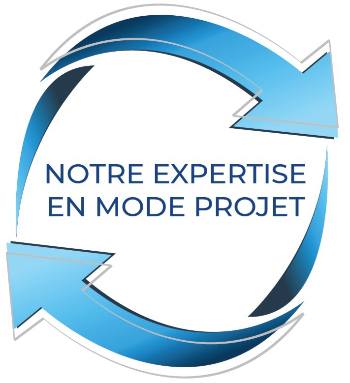 expertise fi conseils